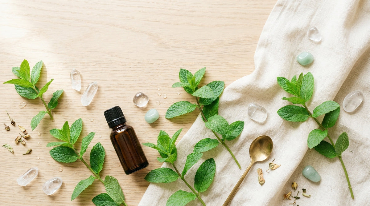 Huile essentielle de menthe poivrée : bienfaits et précautions d'usage